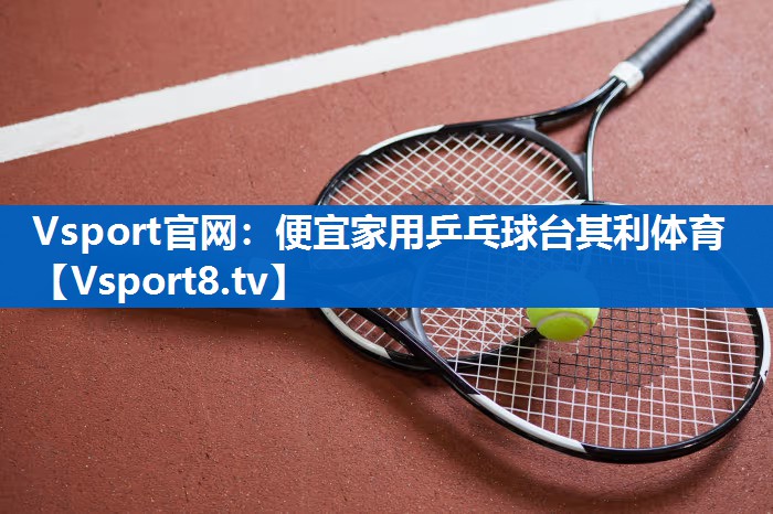 Vsport官网：便宜家用乒乓球台其利体育