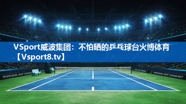<strong>VSport威波集团：不怕晒的乒乓球台火博体育</strong>