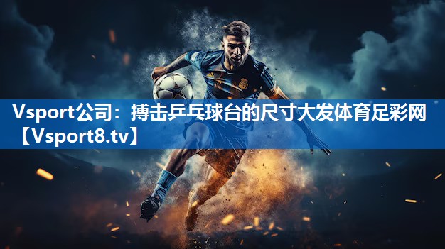Vsport公司：搏击乒乓球台的尺寸大发体育足彩网