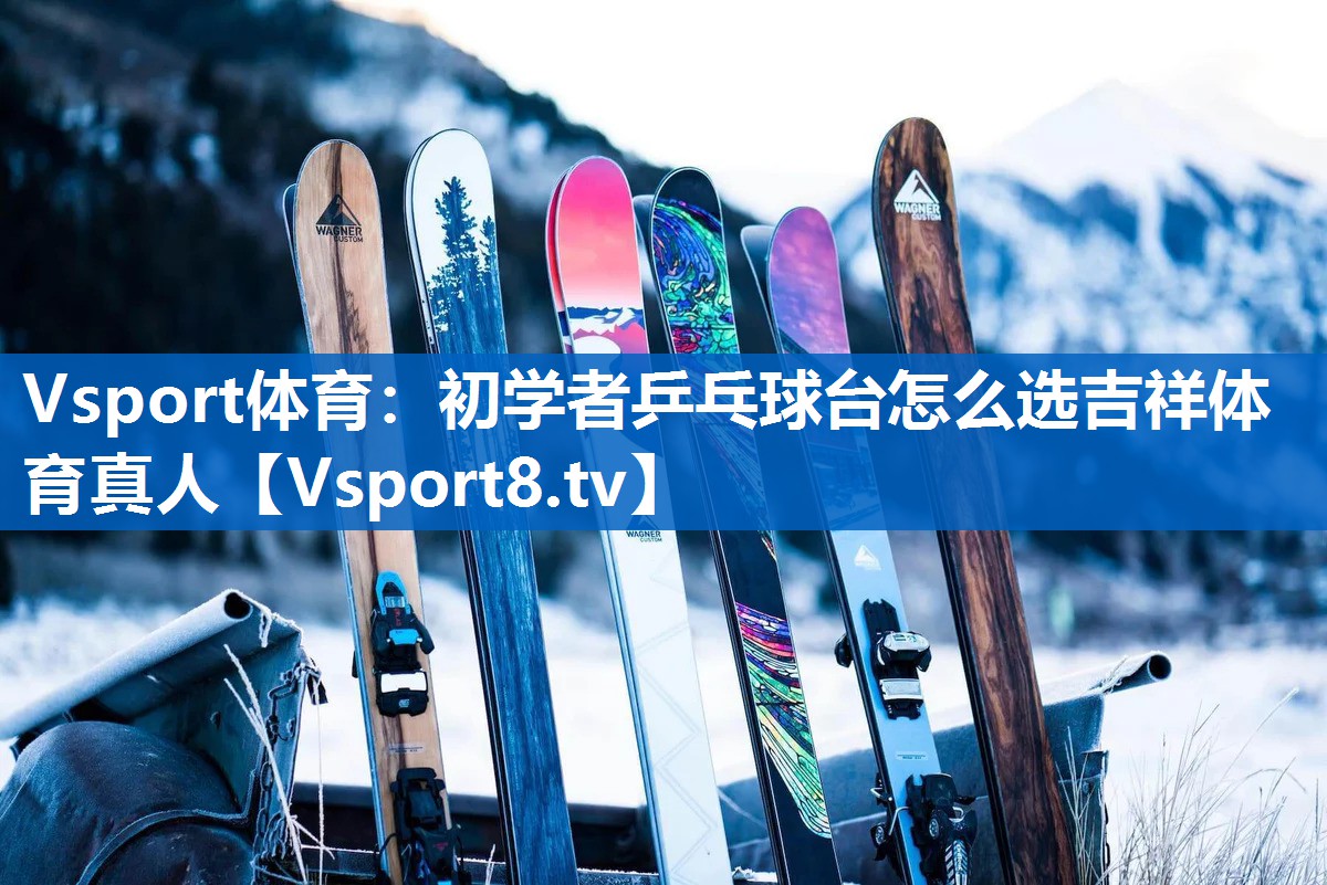 Vsport体育：初学者乒乓球台怎么选吉祥体育真人