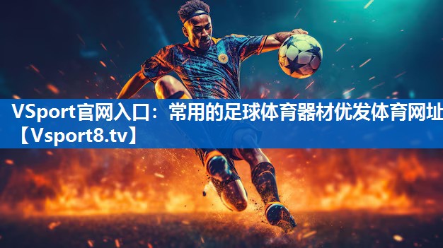 <strong>VSport官网入口：常用的足球体育器材优发体育网址</strong>