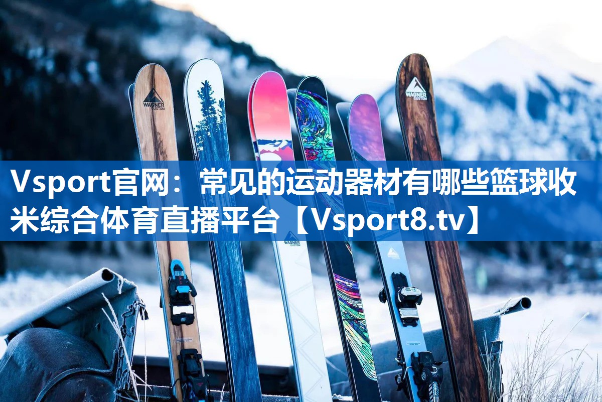 Vsport官网：常见的运动器材有哪些篮球收米综合体育直播平台
