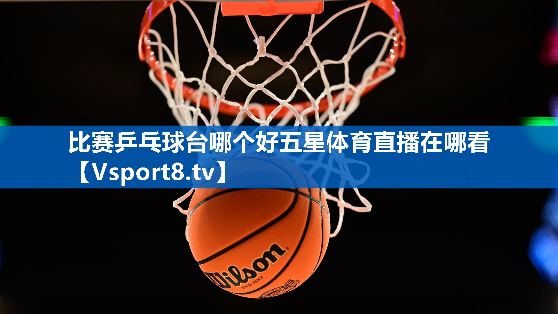 比赛乒乓球台哪个好五星体育直播在哪看