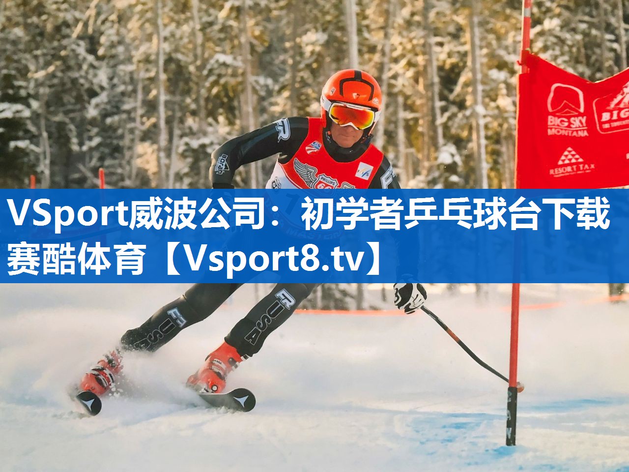 VSport威波公司：初学者乒乓球台下载赛酷体育