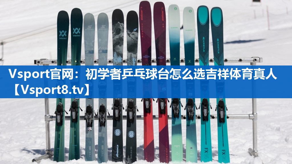 Vsport官网：初学者乒乓球台怎么选吉祥体育真人