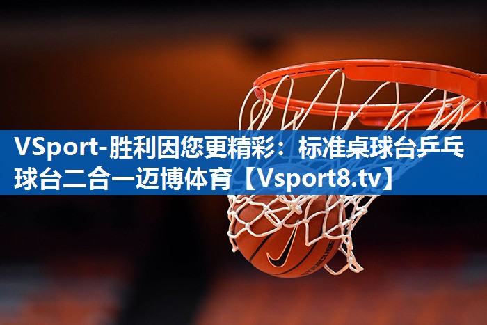 <strong>VSport-胜利因您更精彩：标准桌球台乒乓球台二合一迈博体育</strong>