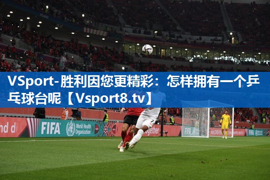 VSport-胜利因您更精彩：怎样拥有一个乒乓球台呢