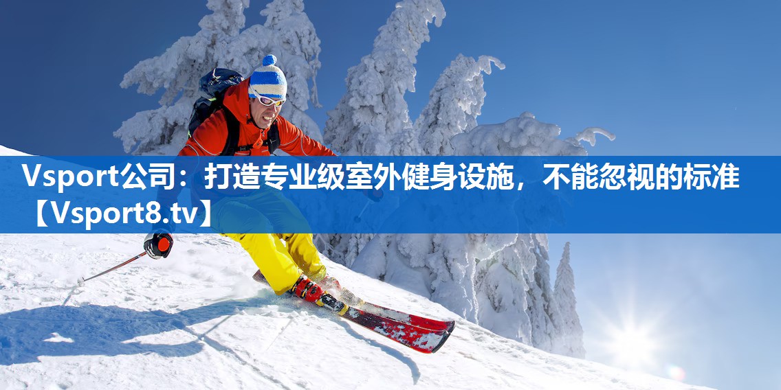 <strong>Vsport公司：打造专业级室外健身设施，不能忽视的标准</strong>