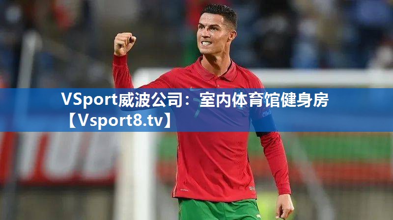 <strong>VSport威波公司：室内体育馆健身房</strong>